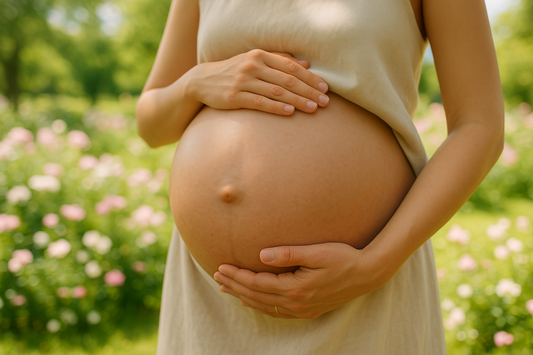 Pregnant belly with both hands holding the belly