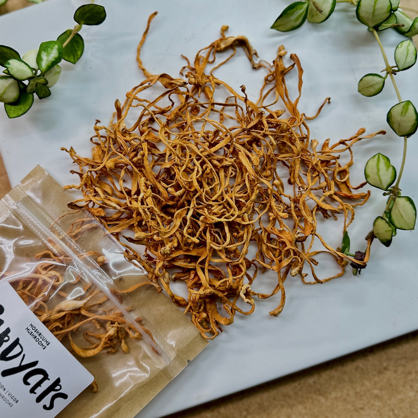 Cordyceps - Organic Dried Cordyceps Mushrooms - Mushroom Tea - Energy