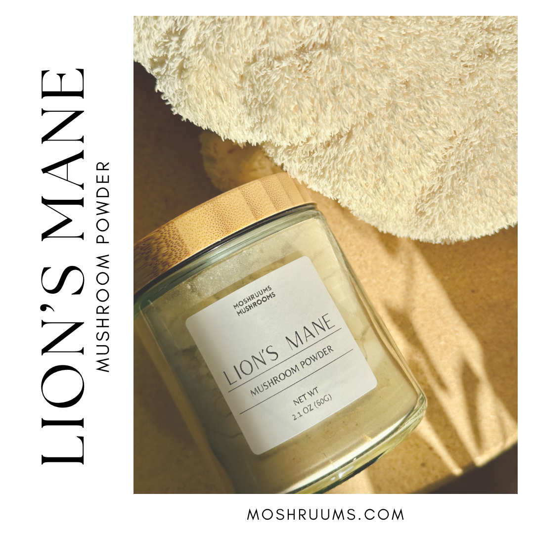 Mind - Lion’s Mane Mushroom Powder