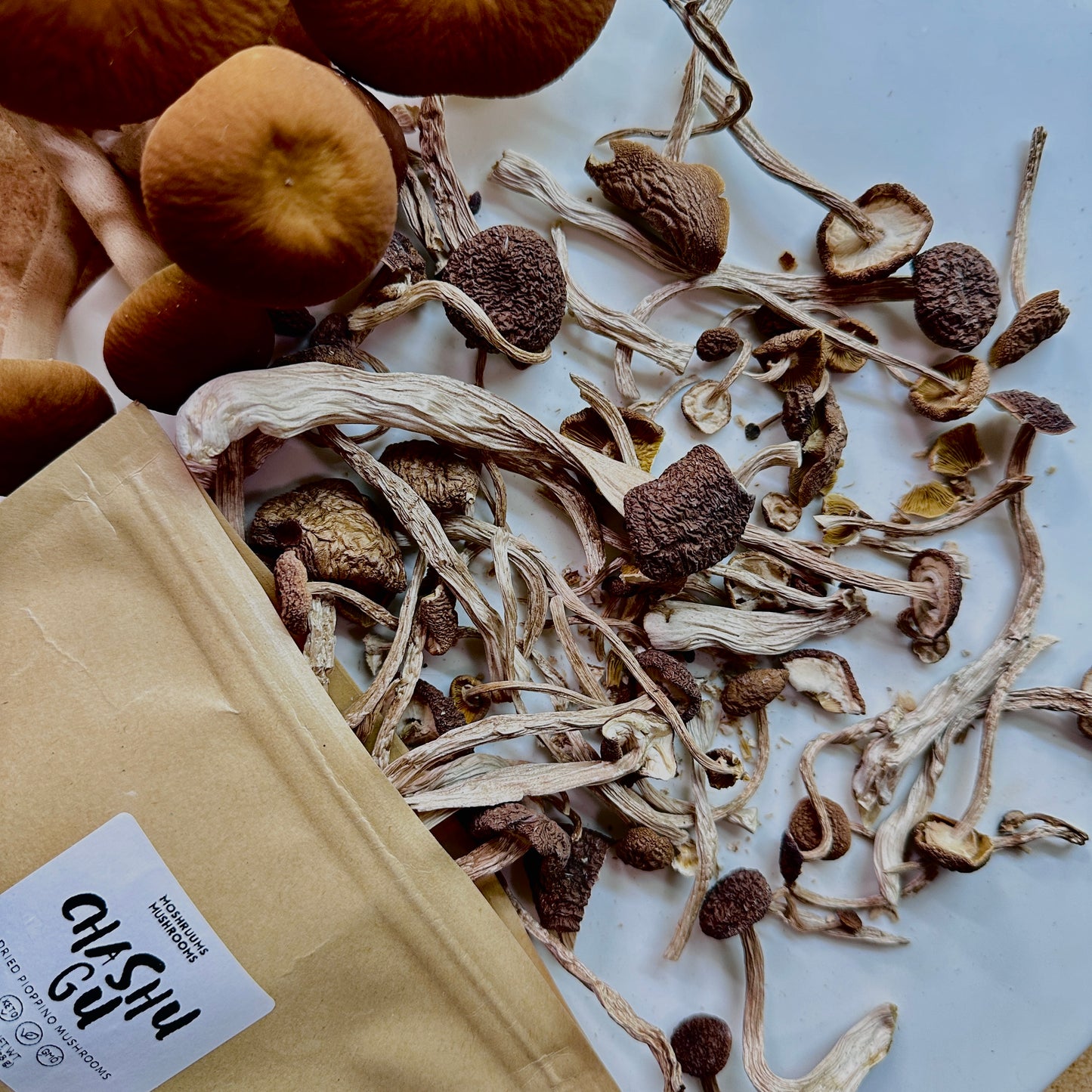 ChaShuGu - Organic Dried Pioppino Mushrooms
