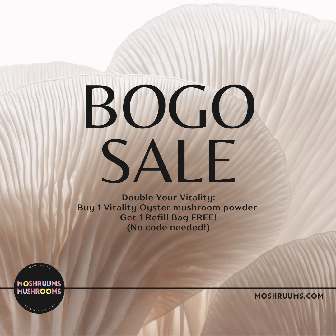 Vitality - Organic Oyster Mushroom Powder