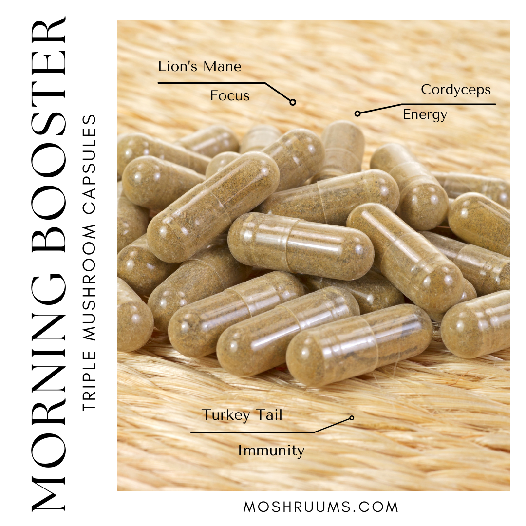 Morning Booster Triple Organic Mushroom Capsules - Lions Mane - Turkey Tail - Cordyceps