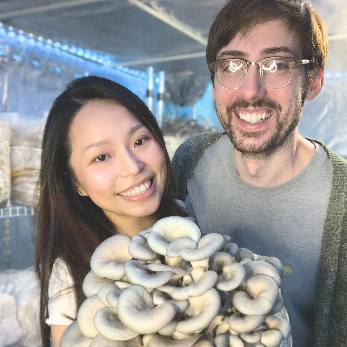 Vitality - Organic Oyster Mushroom Powder