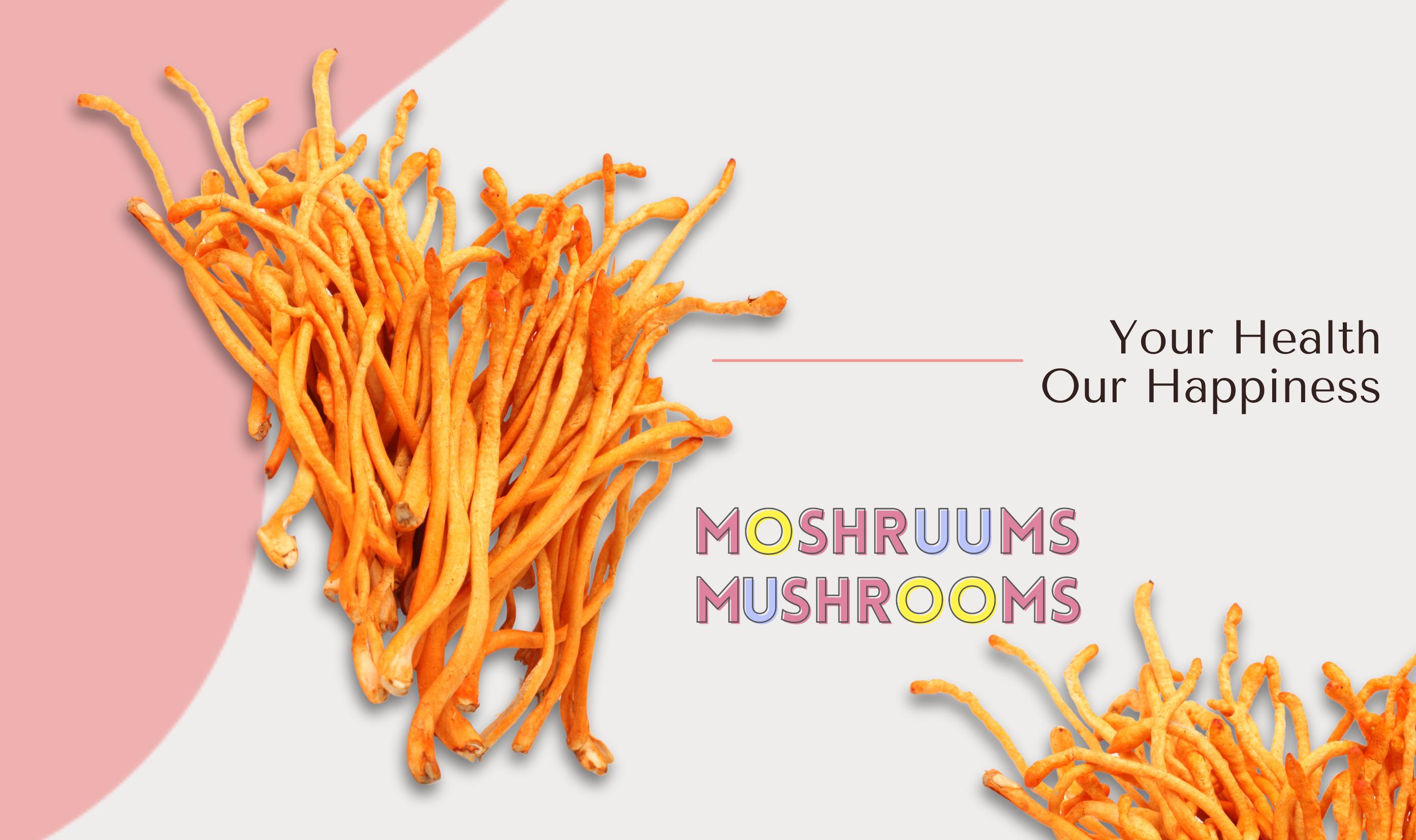 Cordyceps mushrooms for boosting energy, stamina, and recovery