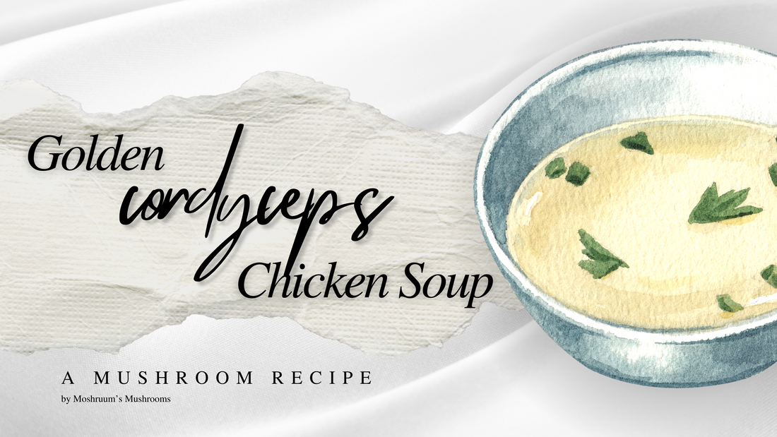 Golden Cordyceps Chicken Soup 🍲