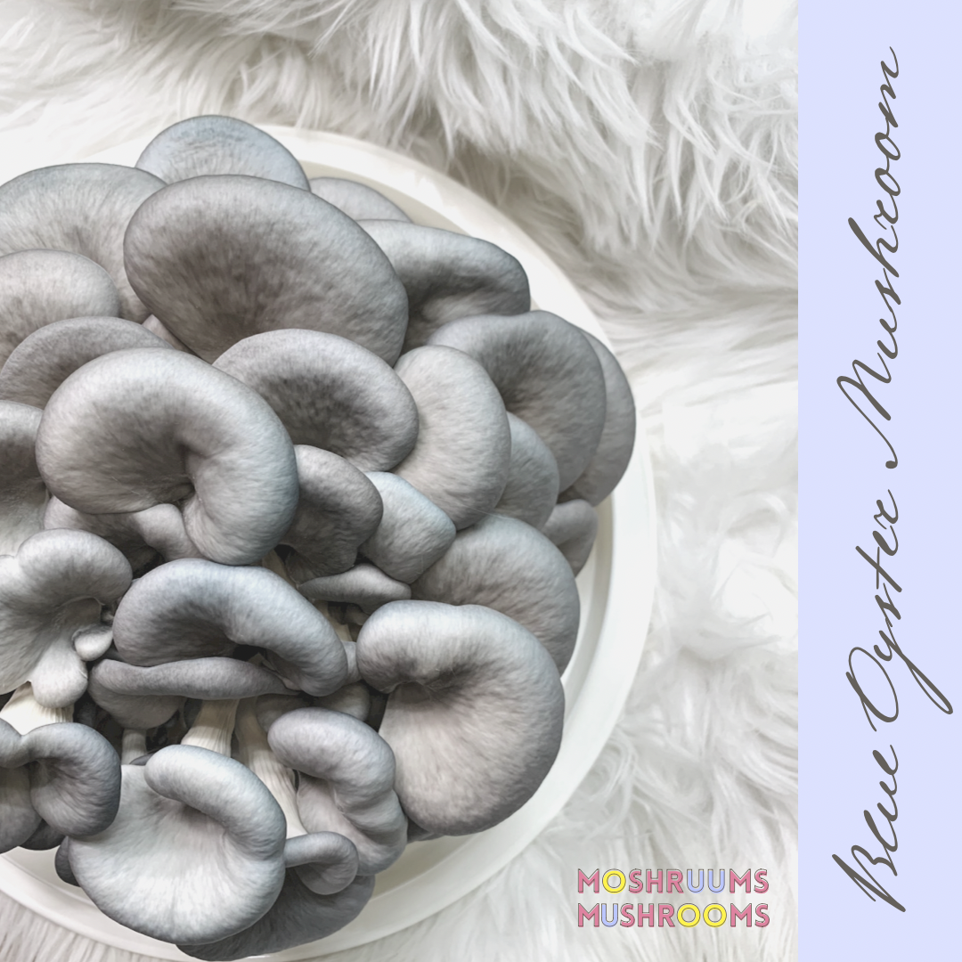 Fresh Mushrooms