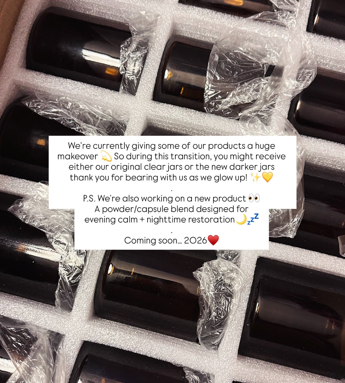 The Daily Balance Set – Capsule Duo + Reishi Tea