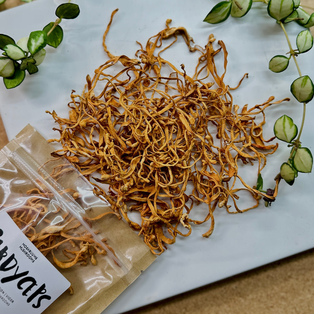 Moshruums Mushrooms - Dried Cordyceps Mushrooms