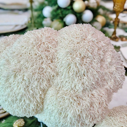 Lion’s Mane Mushrooms