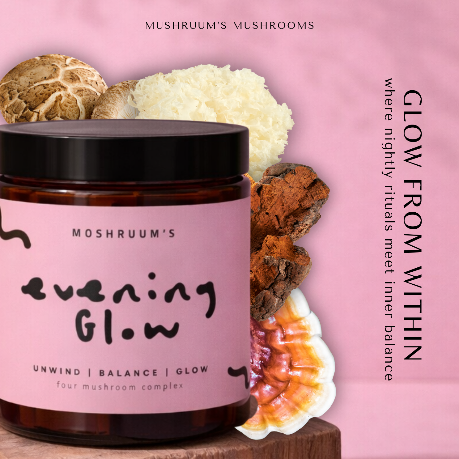 The Daily Balance Set — Mushroom Duo + Reishi Tea