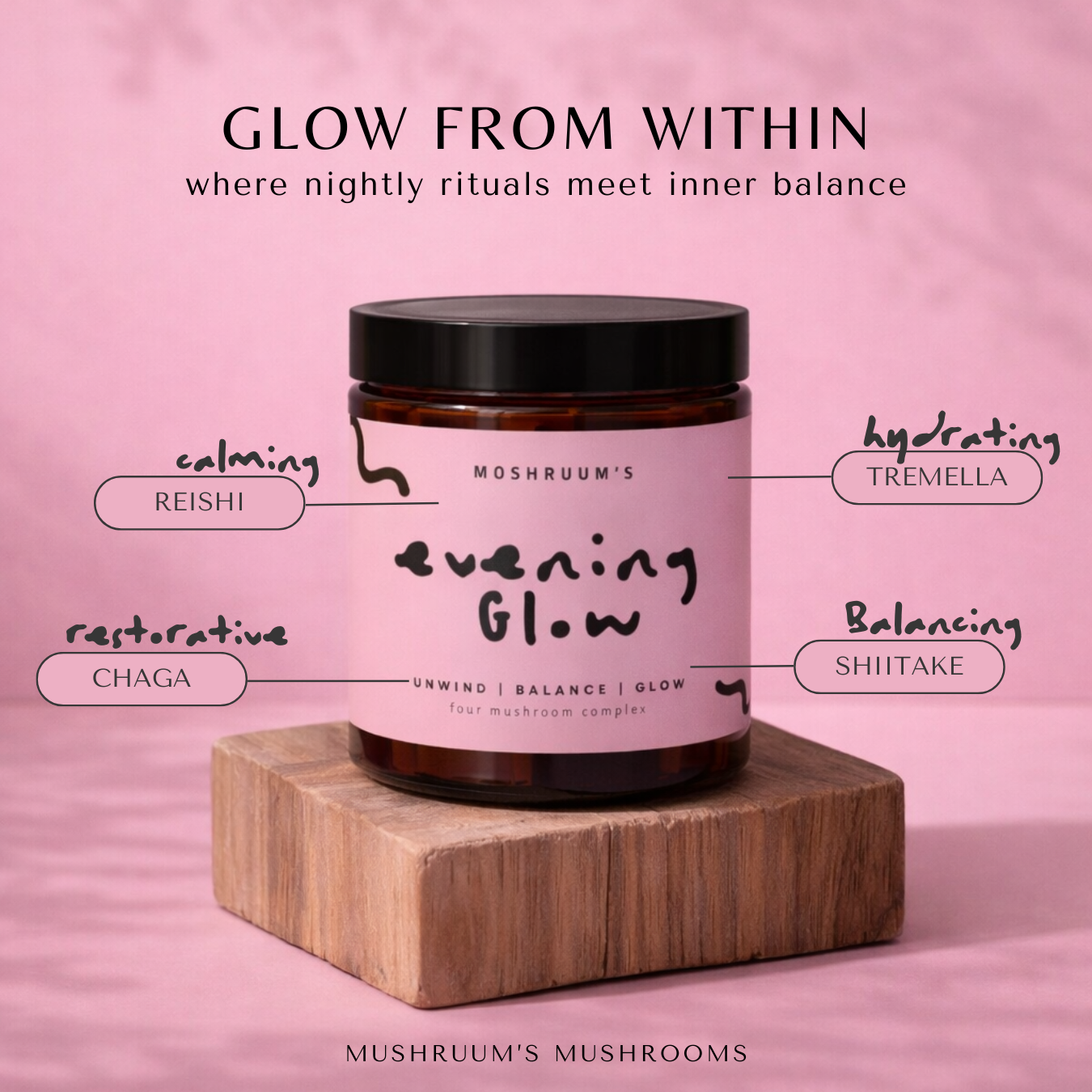Evening Glow - Nighttime Mushroom Complex Powder
