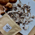 ChaShuGu - Organic Dried Pioppino Mushrooms