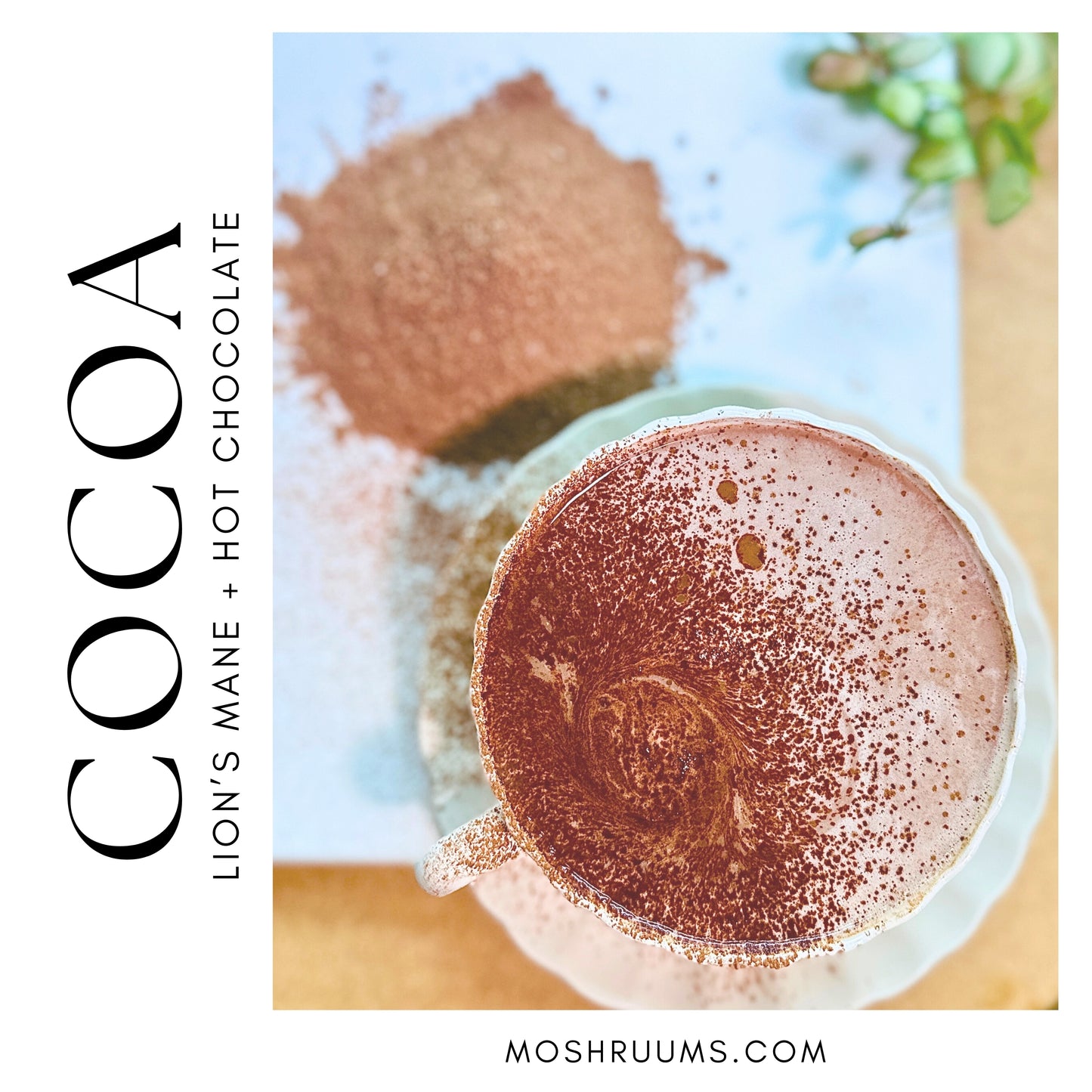 Lion’s Mane x Cocoa. Mushroom Hot chocolate Mix