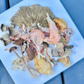 Soup Mix - Organic Dried Mushroom Mix