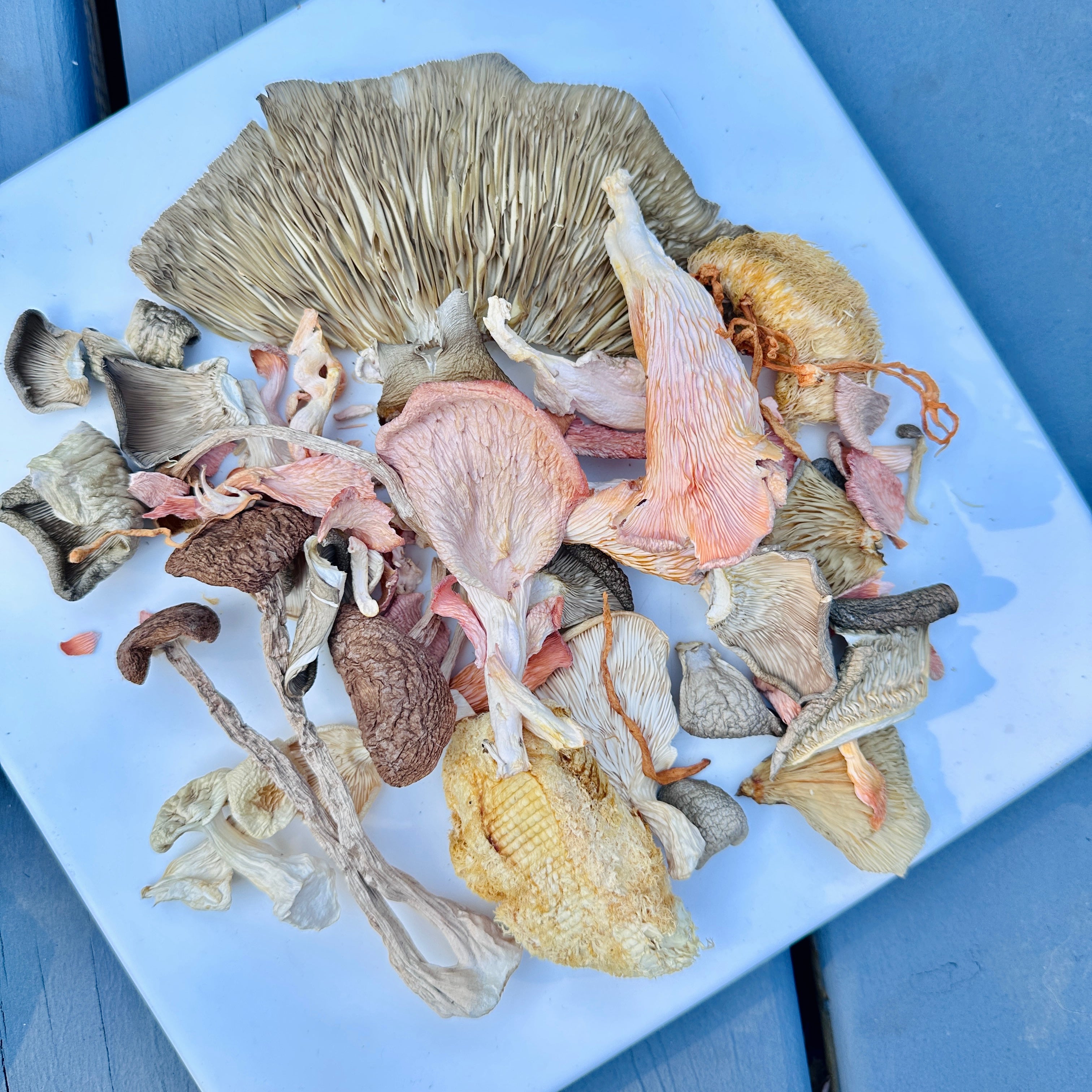Soup Mix - Organic Dried Mushroom Mix