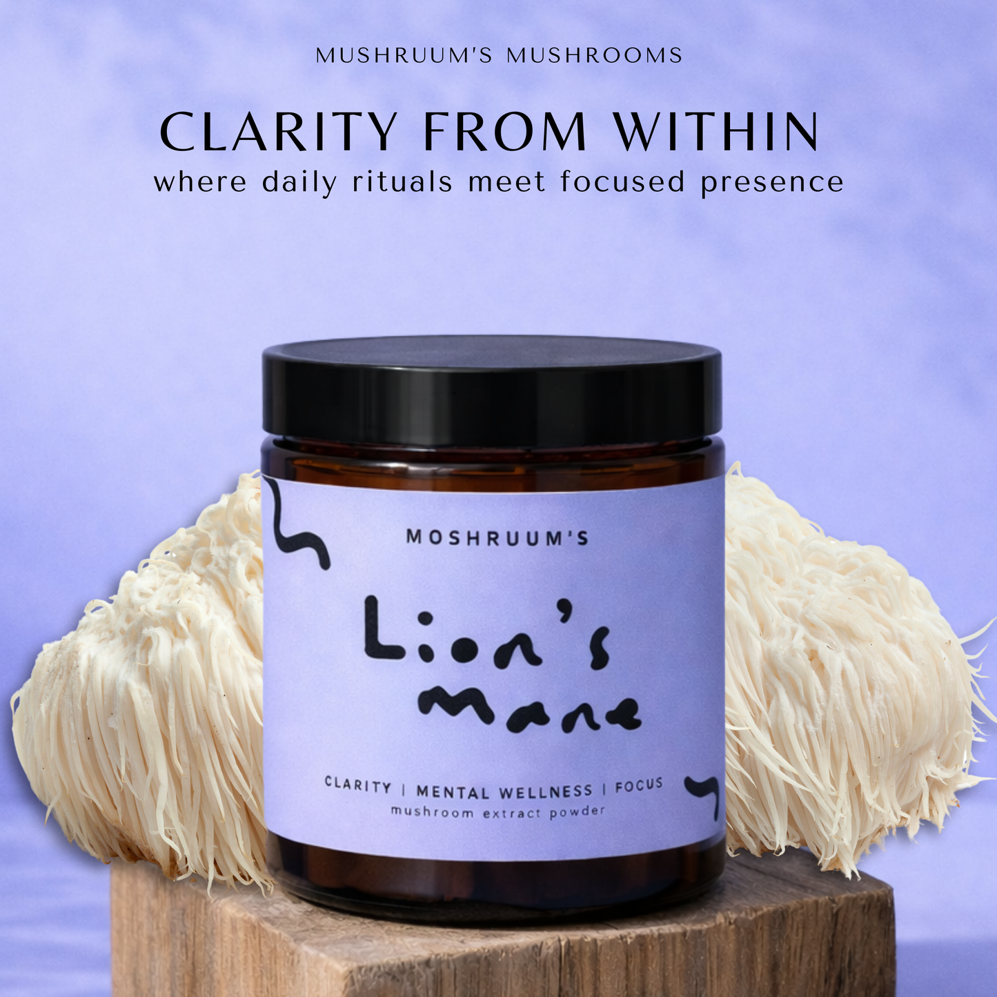 Organic Lion's Mane Mushroom Extract Powder