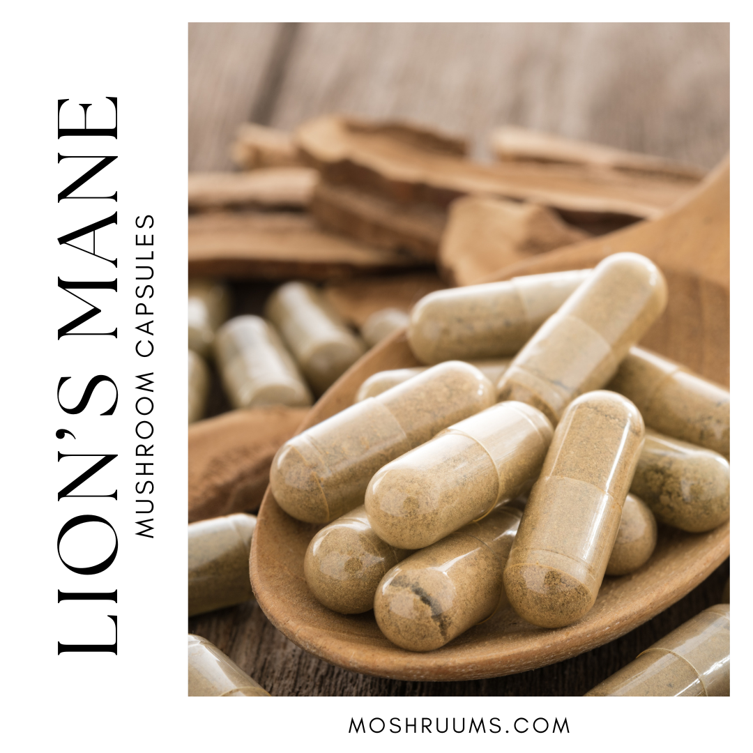 Lion’s Mane Capsules – Organic Lion’s Mane Extract – Focus & Clarity