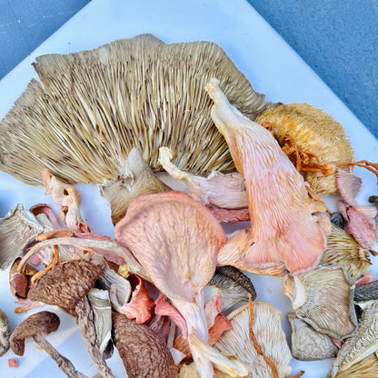 Moshruum's Soup Mix - Dried Mushrooms 