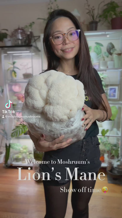 Lion’s Mane Mushrooms