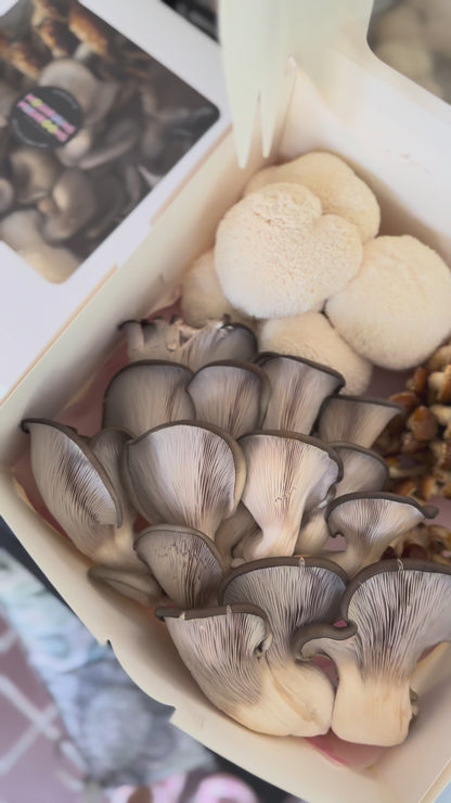 Moshruum's Premium Box